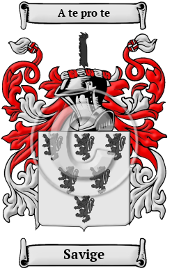 Savige Family Crest/Coat of Arms