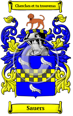 Sauers Family Crest/Coat of Arms
