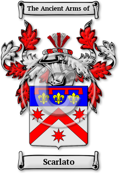 Scarlato Family Crest Download (jpg) Legacy Series - 150 DPI