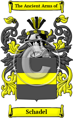 Schadel Family Crest/Coat of Arms