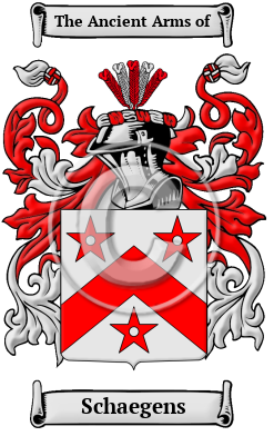 Schaegens Family Crest/Coat of Arms