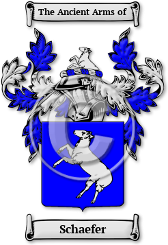 Schaefer Family Crest Download (jpg) Legacy Series - 150 DPI