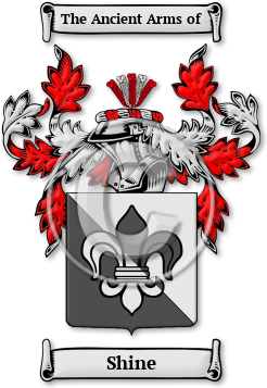 Shine Family Crest Download (jpg) Legacy Series - 150 DPI