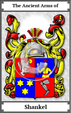 Shankel Family Crest Download (JPG)  Book Plated - 150 DPI