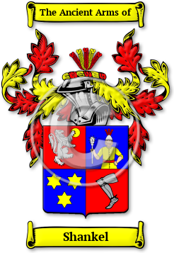 Shankel Family Crest Download (jpg) Legacy Series - 150 DPI