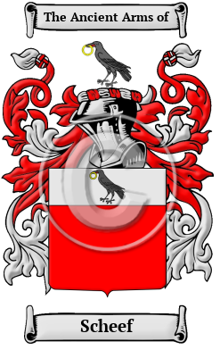 Scheef Family Crest/Coat of Arms