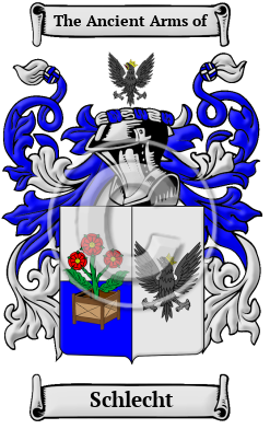 Schlecht Family Crest/Coat of Arms
