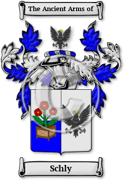 Schly Family Crest Download (jpg) Legacy Series - 150 DPI