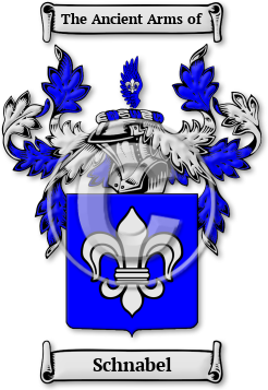 Schnabel Family Crest Download (JPG) Legacy Series - 300 DPI