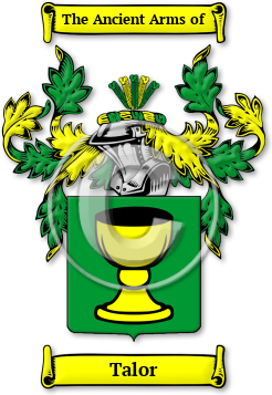 Talor Family Crest Download (jpg) Legacy Series - 150 DPI
