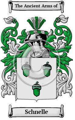 Schnelle Family Crest/Coat of Arms