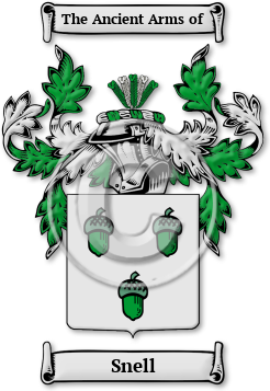 Snell Family Crest Download (jpg) Legacy Series - 150 DPI