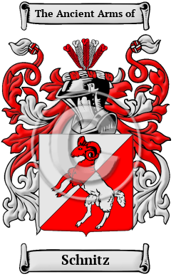Schnitz Family Crest/Coat of Arms