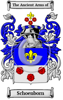 Schoenborn Family Crest/Coat of Arms