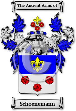 Schoenemann Family Crest Download (jpg) Legacy Series - 150 DPI