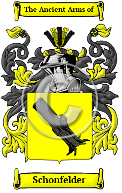 Schonfelder Family Crest/Coat of Arms