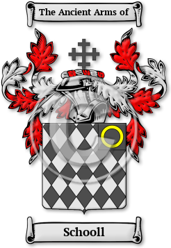 Schooll Family Crest Download (jpg) Legacy Series - 150 DPI