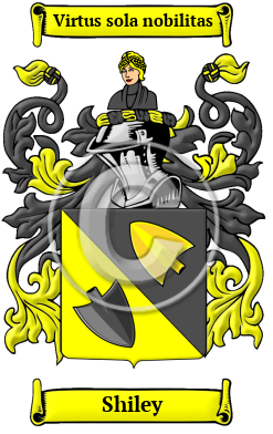 Shiley Family Crest/Coat of Arms
