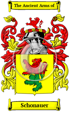 Schonauer Family Crest/Coat of Arms