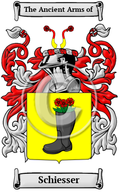 Schiesser Name Meaning, Family History, Family Crest & Coats of Arms