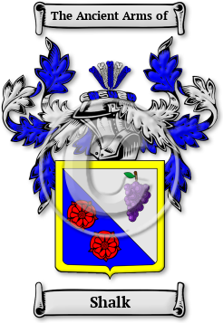 Shalk Family Crest Download (jpg) Legacy Series - 150 DPI