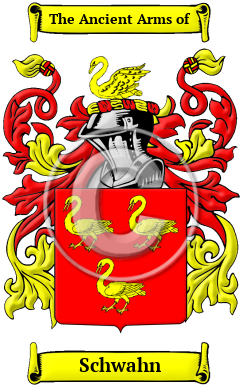 Schwahn Family Crest/Coat of Arms