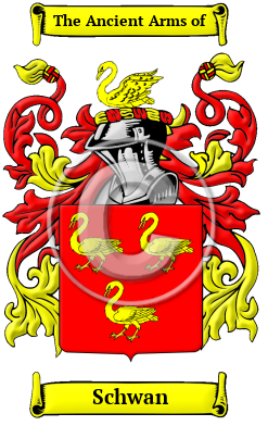 Schwan Family Crest/Coat of Arms