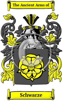 Schwarze Family Crest/Coat of Arms