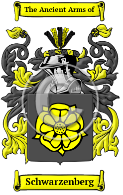 Schwarzenberg Family Crest/Coat of Arms