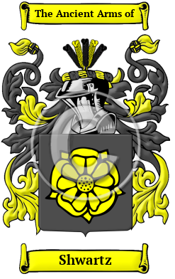 Shwartz Family Crest/Coat of Arms