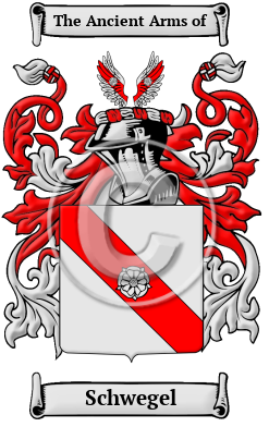 Schwegel Family Crest/Coat of Arms