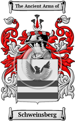 Schweinsberg Family Crest/Coat of Arms