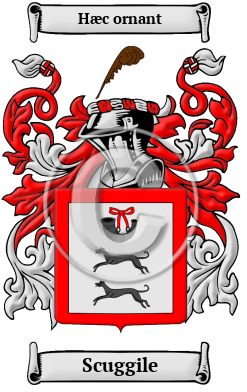 Scuggile Family Crest/Coat of Arms