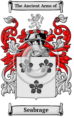Seabrage Family Crest/Coat of Arms