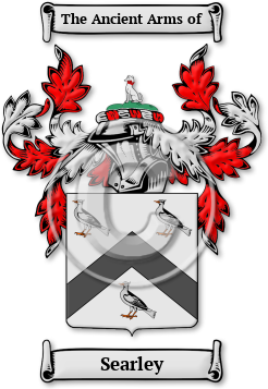 Searley Family Crest Download (JPG) Legacy Series - 600 DPI