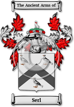 Serl Family Crest Download (JPG) Legacy Series - 600 DPI