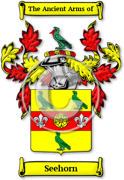 Seehorn Family Crest Download (jpg) Legacy Series - 150 DPI