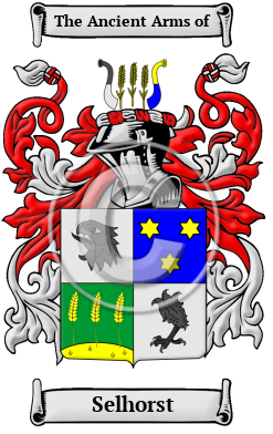 Selhorst Family Crest/Coat of Arms