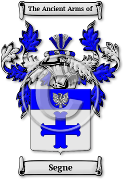 Segne Family Crest Download (jpg) Legacy Series - 150 DPI