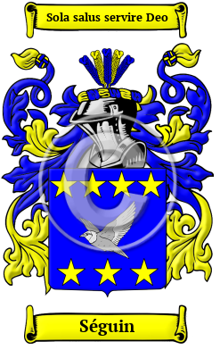 Séguin Family Crest/Coat of Arms