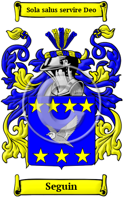 Seguin Family Crest/Coat of Arms