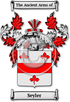 Seyler Family Crest Download (jpg) Legacy Series - 150 DPI