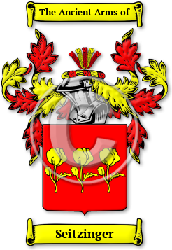 Seitzinger Family Crest Download (jpg) Legacy Series - 150 DPI
