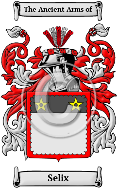 Selix Family Crest/Coat of Arms