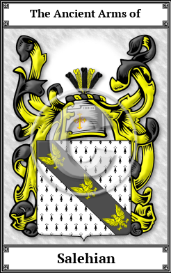 Salehian Family Crest Download (JPG)  Book Plated - 150 DPI