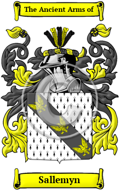 Sallemyn Family Crest/Coat of Arms
