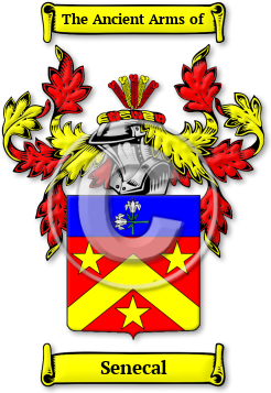 Senecal Family Crest Download (JPG) Legacy Series - 600 DPI
