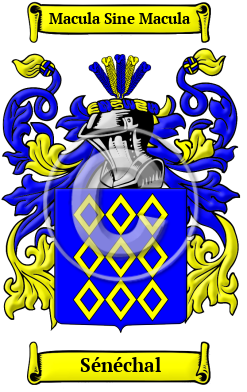 Sénéchal Family Crest/Coat of Arms
