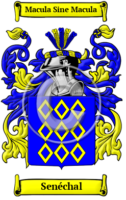 Senéchal Family Crest/Coat of Arms