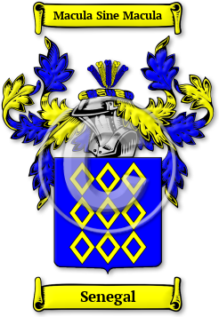 Senegal Family Crest Download (JPG) Legacy Series - 600 DPI